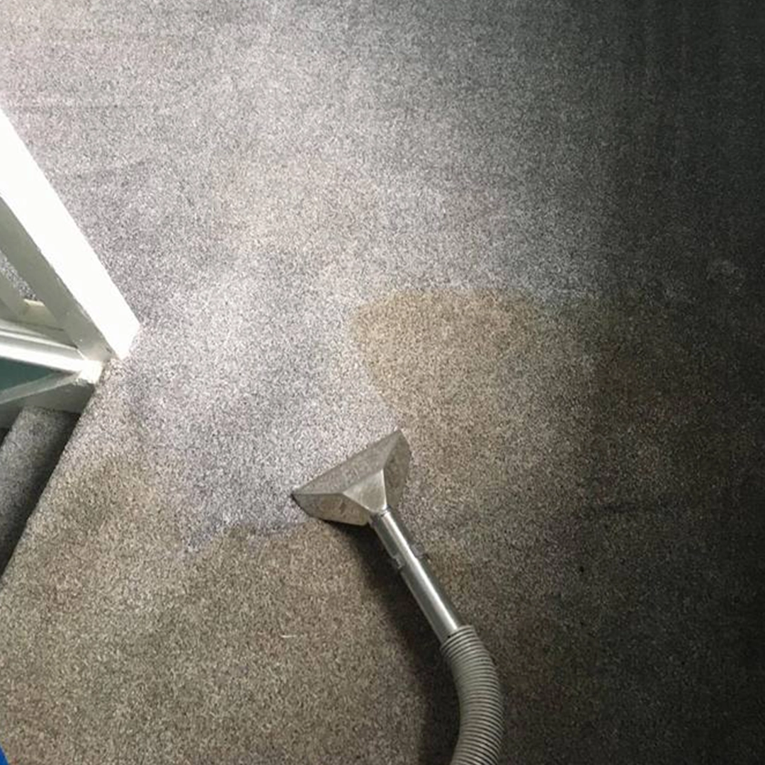 Carpet after a professional truck-mounted clean