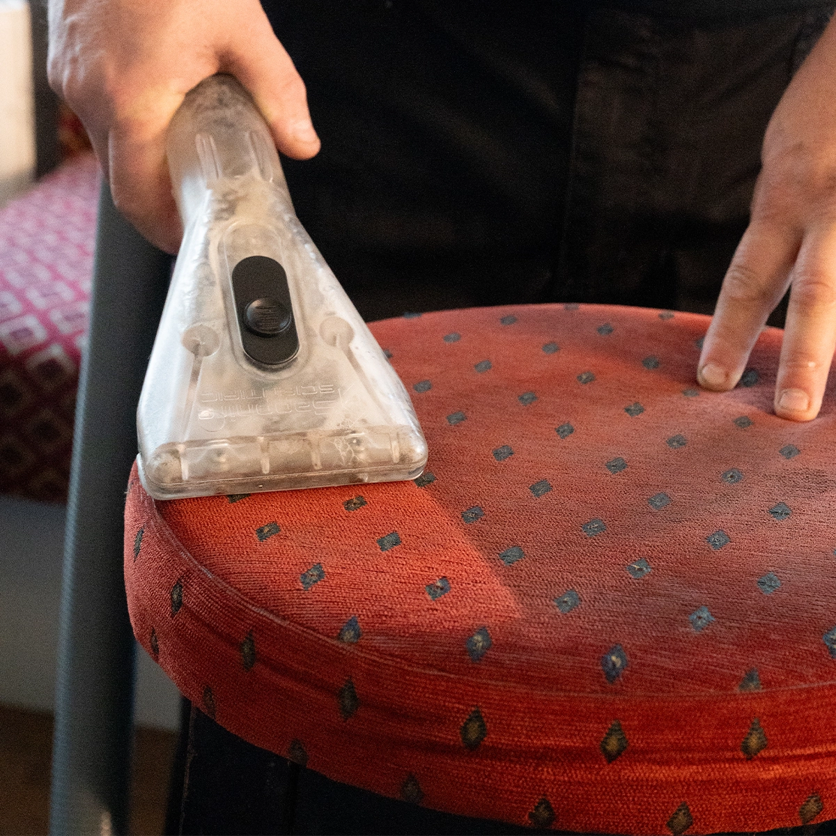 Professional rug cleaning