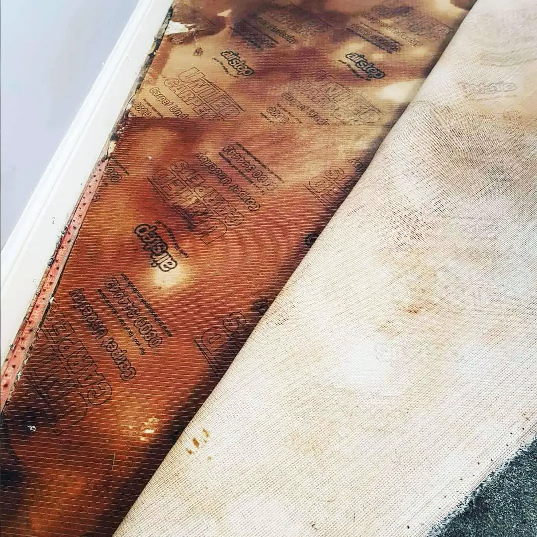 Underlay damage caused by rental cleaning machines